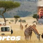 Casal de médicos brasileiros se envolvem em acidente com 9 mortos em safari na África. Ela morre.