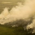 Pantanal em chamas – Mato Grosso do Sul decreta situação de emergência