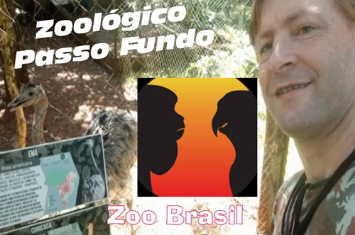 PRIMAVES – Conheça o ZOOLÓGICO de PASSO FUNDO