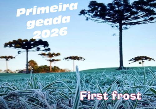 RS registra a PRIMEIRA GEADA de 2026