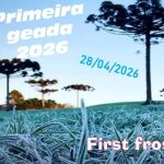 RS registra a PRIMEIRA GEADA de 2026